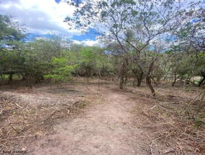 Terreno para Venda, em , bairro Ratones