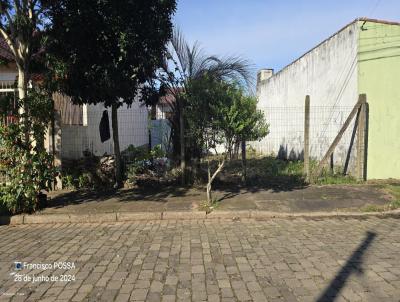 Terreno para Venda, em Porto Alegre, bairro Vila Nova