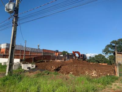 Terreno para Venda, em Gravata, bairro Nepolis