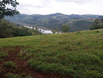 rea Rural para Venda, em Paial, bairro ..