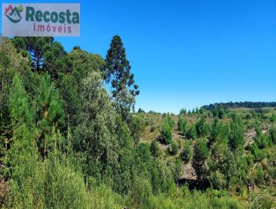 Chcara para Venda, em So Francisco de Paula, bairro ESTRADA DO CACONDE