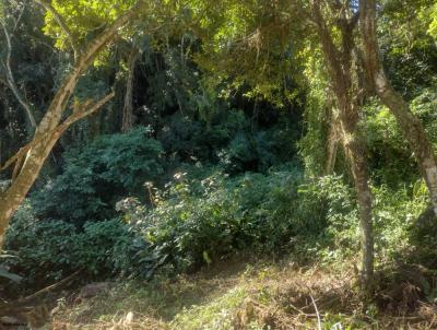 Terreno para Venda, em Florianpolis, bairro Cachoeira do Bom Jesus