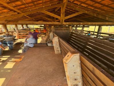 Fazenda para Venda, em Arax, bairro Zona rural, 9 dormitrios, 6 banheiros, 4 sutes, 10 vagas