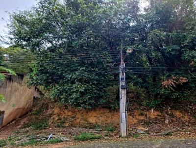 Terreno para Venda, em Cataguases, bairro Colinas