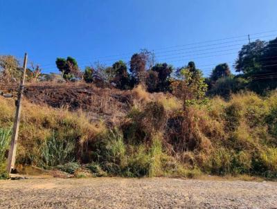 Terreno para Venda, em Cataguases, bairro Colinas