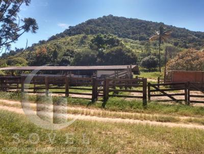 Fazenda para Venda, em Itirapina, bairro zona rural, 8 dormitrios, 4 banheiros, 2 sutes