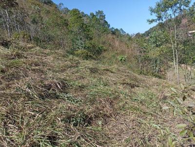 Terreno para Venda, em Volta Redonda, bairro SANTA RITA DO ZARUR