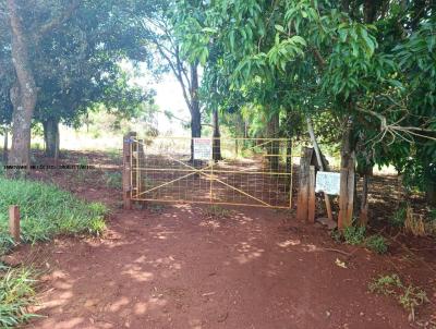 Fazenda para Venda, em Araguari, bairro Zona rural, 4 dormitrios, 4 banheiros, 2 sutes, 4 vagas