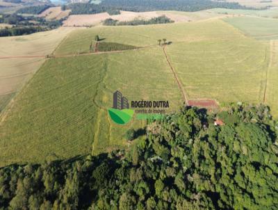 Stio para Venda, em Bela Vista do Paraso, bairro ZONA RURAL