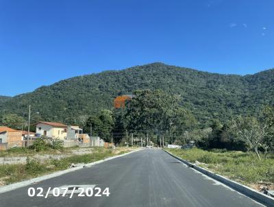 Terreno para Venda, em Florianpolis, bairro So Joo do Rio Vermelho