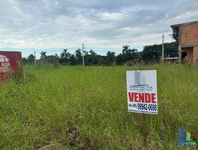 Terreno Residencial para Venda, em So Jos, bairro Forquilhinhas