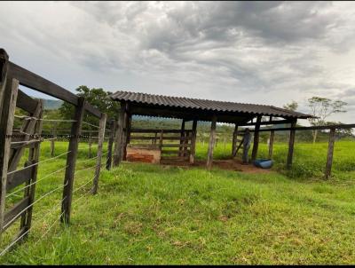 Fazenda para Venda, em Araguari, bairro Zona rural