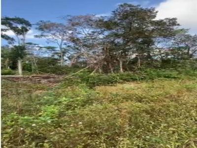 Terreno para Venda, em Itanham, bairro Parque Evelyn