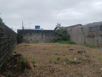 Terreno para Venda, em Itanham, bairro Suaro