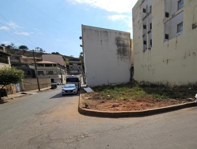 Lote para Venda, em Ub, bairro San Rafael II