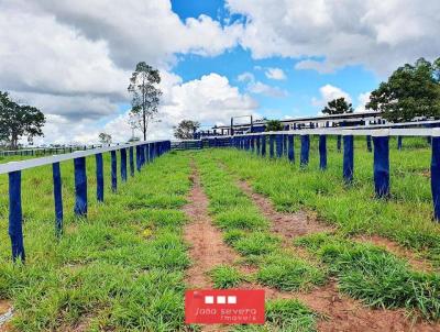 Fazenda para Venda, em Figueiro, bairro 