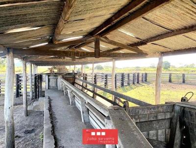 Fazenda para Venda, em Corumb, bairro 