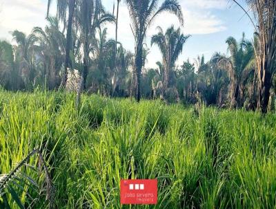 Fazenda para Venda, em Recursolndia, bairro 