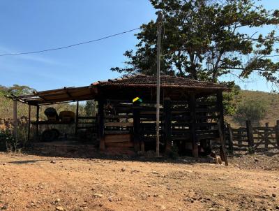 Fazenda para Venda, em , bairro SO GERALDO DE TUMIRITINGA