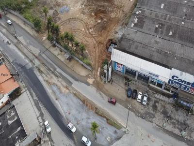 Terreno Comercial para Venda, em Trs Rios, bairro Tringulo