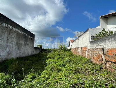 Terreno para Venda, em Campina Grande, bairro Mirante