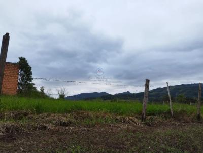 Terreno para Venda, em Imaru, bairro Figueira Grande