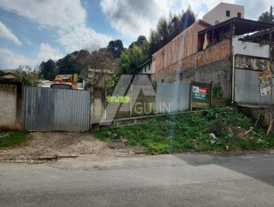 Lote para Venda, em Colombo, bairro Roa Grande