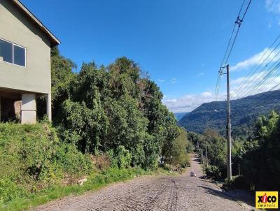 Terreno para Venda, em Nova Petrpolis, bairro Vila Germnia