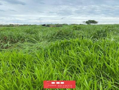 Fazenda para Venda, em Palmas, bairro 