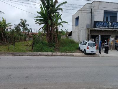 Terreno para Venda, em Paranagu, bairro Vila Garcia