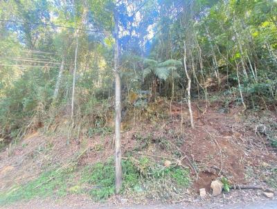 Terreno para Venda, em Terespolis, bairro Iucas