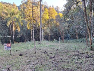 rea Rural para Venda, em Campo Largo, bairro Bateias