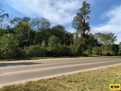 Terreno para Venda, em Nova Petrpolis, bairro RS 235