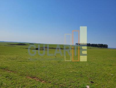 Fazenda para Venda, em So Gabriel, bairro Distrito