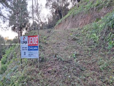 rea Rural para Venda, em Campo Largo, bairro Bateias