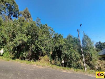 Terreno para Venda, em Nova Petrpolis, bairro Pousada da Neve