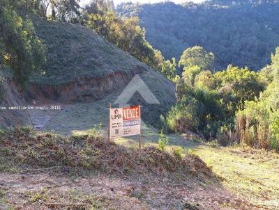 rea Rural para Venda, em Campo Largo, bairro Bateias