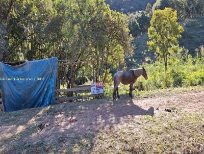 rea Rural para Venda, em Campo Largo, bairro Bateias