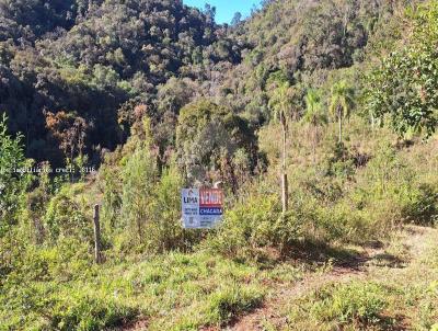 rea Rural para Venda, em Campo Largo, bairro Bateias