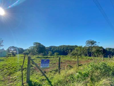 Lote para Venda, em Curitibanos, bairro So Luiz