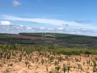 Fazenda para Venda, em Francisco Dumont, bairro ZONA RURAL