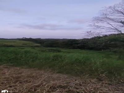 Terreno para Venda, em So Joo do Itaperi, bairro Santo Antonio