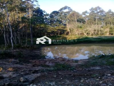 Stio para Venda, em Barra Velha, bairro Trs Coxilhas