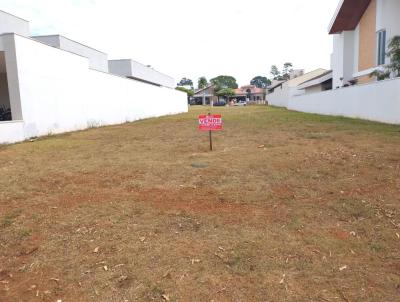 Terreno para Venda, em Leme, bairro Jardim Villagio D`Italia