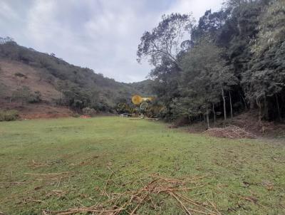 Terreno para Venda, em Terespolis, bairro Albuquerque