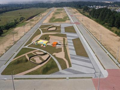 Terreno para Venda, em Florianpolis, bairro So Joo do Rio Vermelho