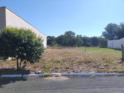 Terreno para Venda, em Santa Cruz da Conceio, bairro So Joo