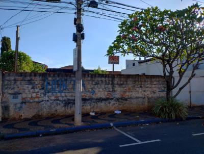 Terreno para Venda, em Leme, bairro Centro