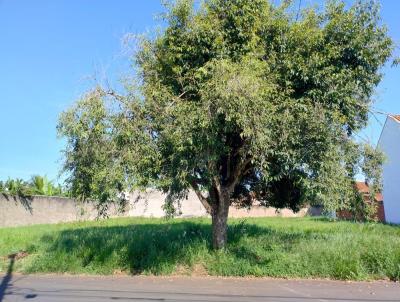 Terreno para Venda, em Leme, bairro Jardim do Bosque