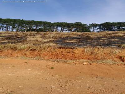 Terreno para Venda, em Aruj, bairro Chcara Bananal